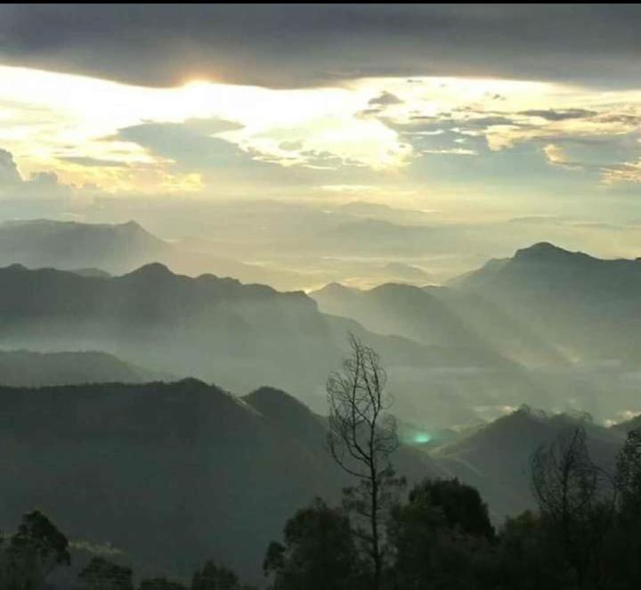 Praveen'S Wood House Kodaikanal Vattakanal Εξωτερικό φωτογραφία