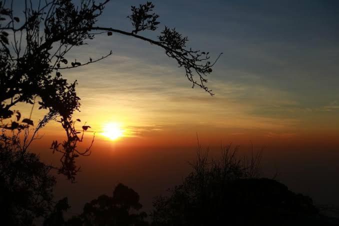 Praveen'S Wood House Kodaikanal Vattakanal Εξωτερικό φωτογραφία