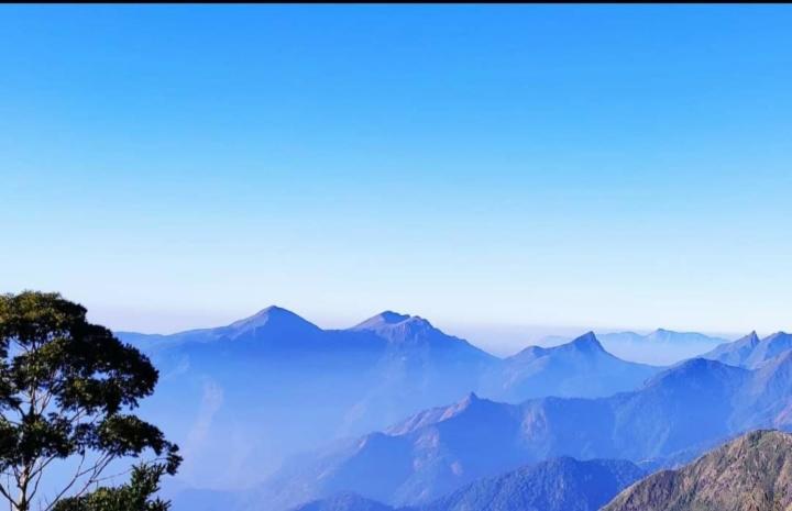 Praveen'S Wood House Kodaikanal Vattakanal Εξωτερικό φωτογραφία